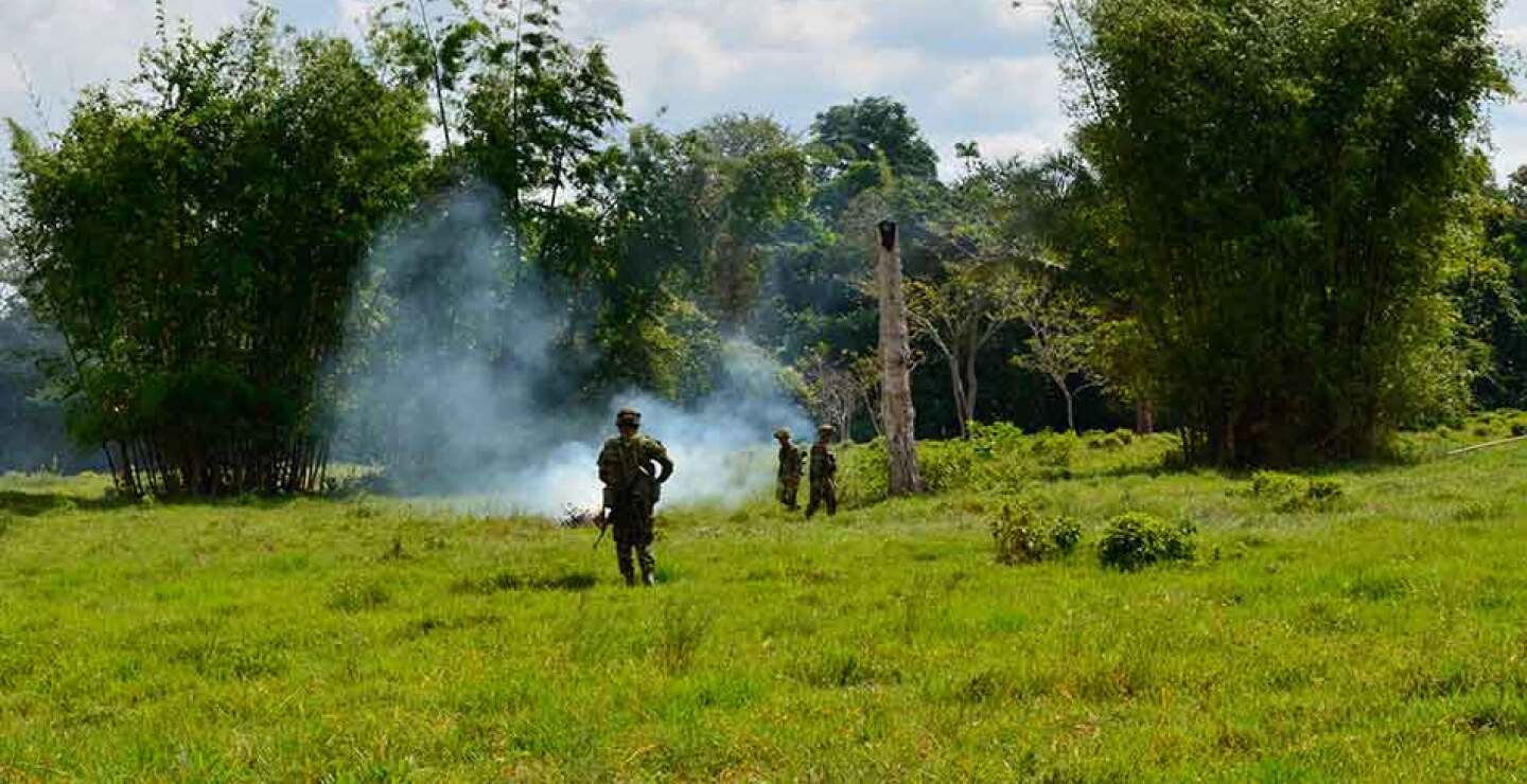 farc_2.jpg