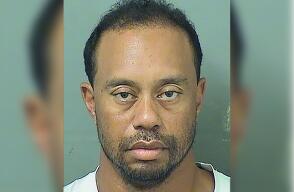 3950_La Kalle - Tiger Woods - Foto: AFP