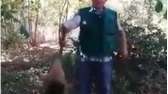 277115_Foto: Captura video