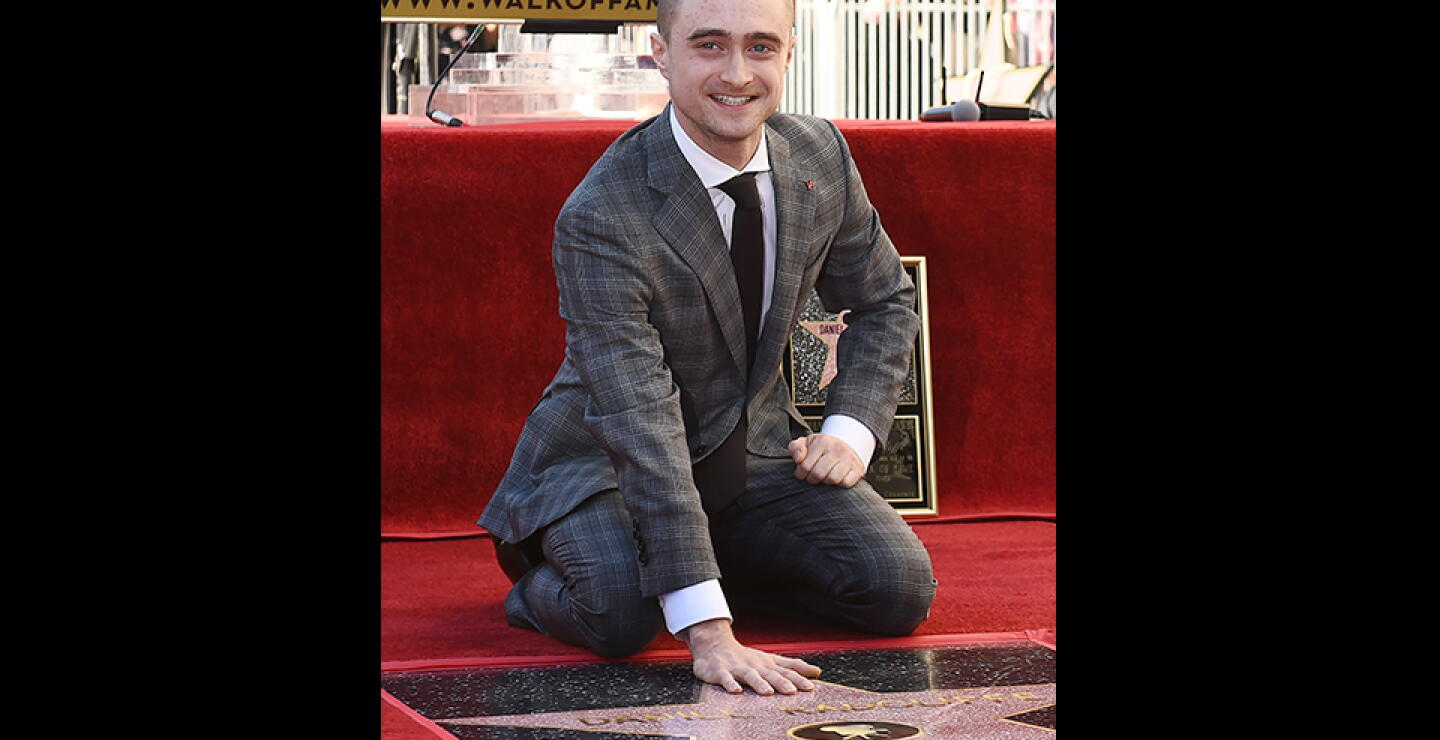 harry7.jpg