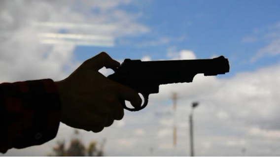 pistola.png pistola.png