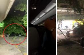 Vendaval en Barranquilla: videos de los momentos de terror vividos por ciudadanos