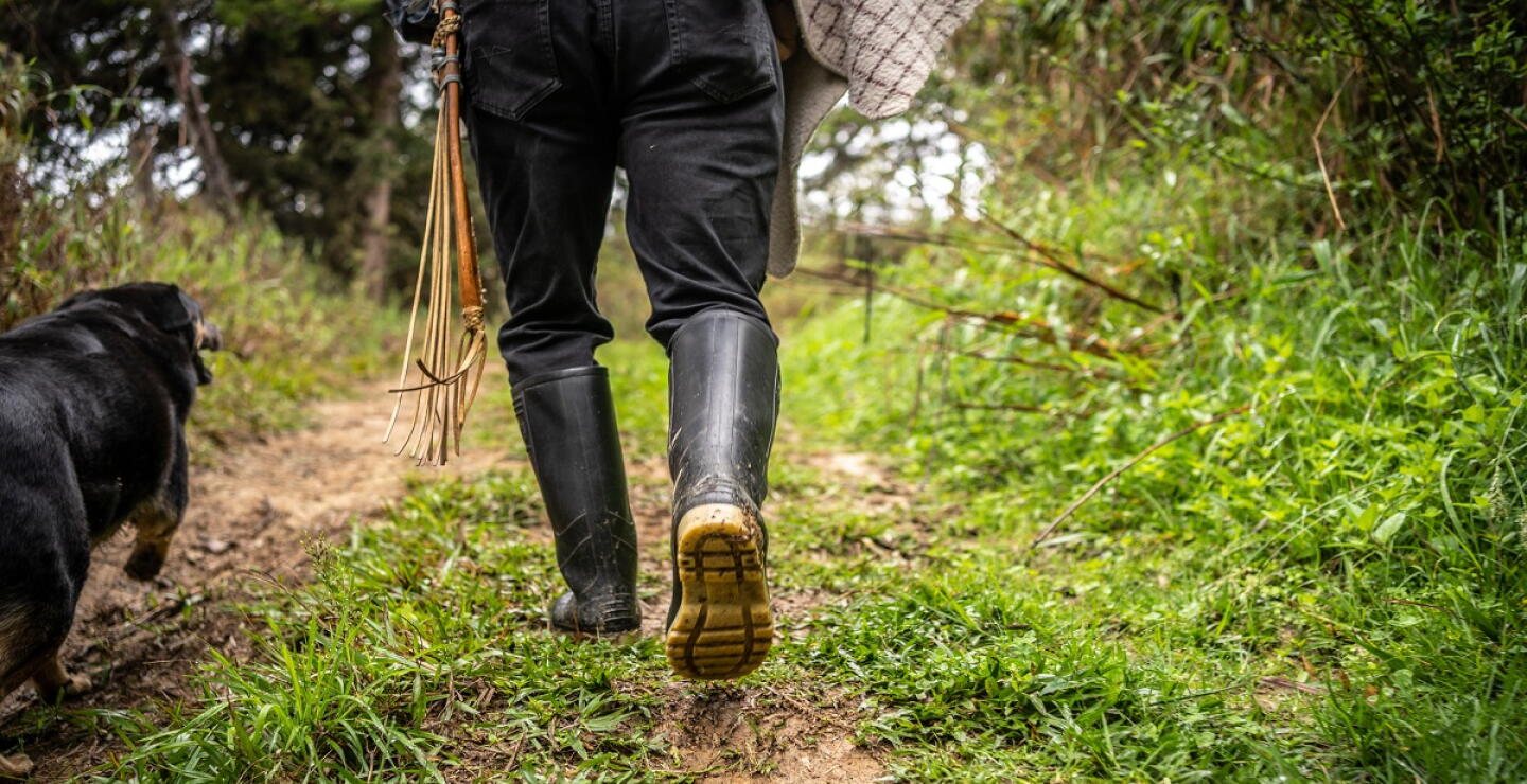 ¿Cómo avanza la compra de tierras en el marco del acuerdo de paz? Minagricultura responde 