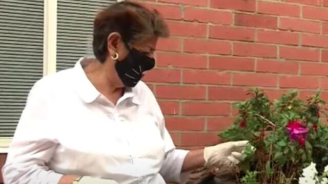 Estamos cansados y abrumados por el aislamiento: las preocupaciones de los adultos mayores