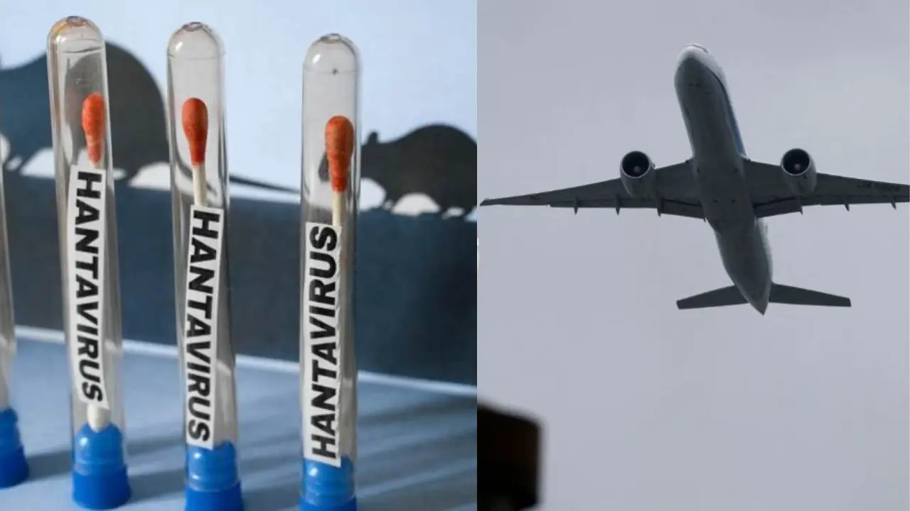 Hantavirus en crucero: la cepa Andes siembra el pánico a bordo — image 1