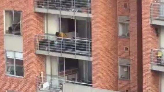 Maltrato animal denunciado en Bogotá Maltrato animal denunciado en Bogotá