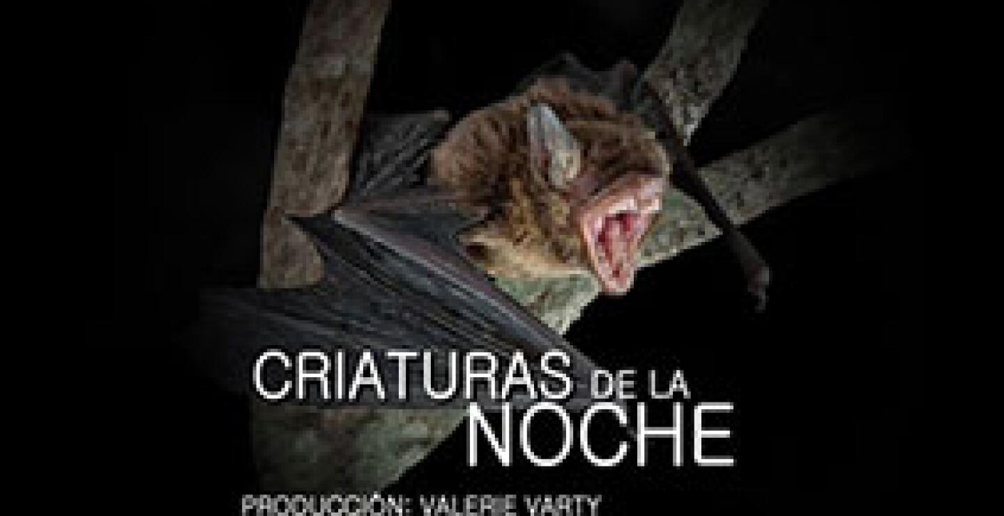300336_img_informantes_160723.jpg
