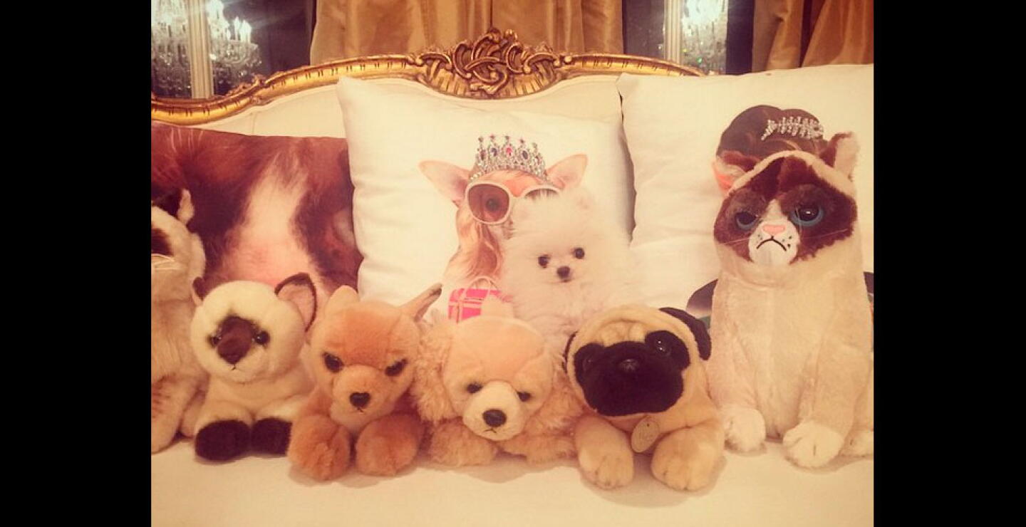 paris-hilton4.jpg