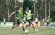 Atlético Nacional se enfrenta a Tigres por la Copa BetPlay 2026.