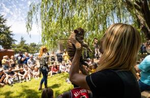388821_zoo970.jpg