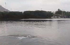 325933_Blu Radio / Laguna a la que se lanzó el presunto ladrón. Foto:Tomada de video