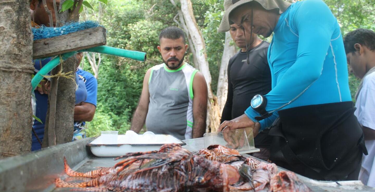 273717_Foto: Luis Oñate Gámez