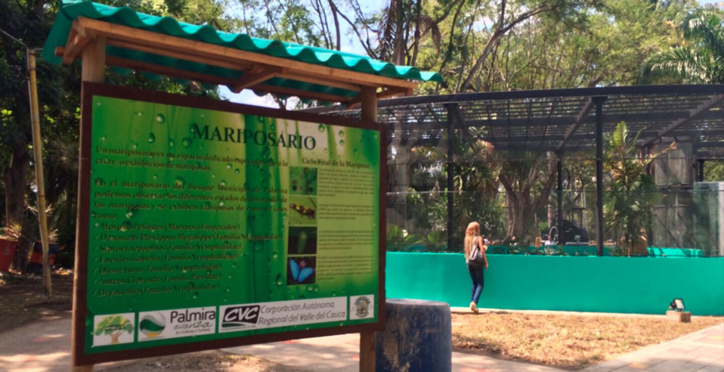 ¡Pulmón verde! El Bosque Municipal de Palmira, Valle, fue recuperado