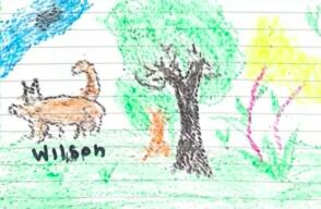 Conmovedores dibujos de Wilson que hicieron los niños rescatados en Guaviare