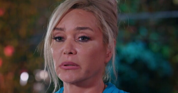 337941_elif970.jpg