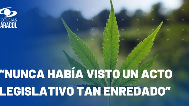 Denuncian que Pacto Histórico hizo una ‘jugadita’ para levantar sesión de cannabis recreativo Denuncian que Pacto Histórico hizo una ‘jugadita’ para levantar sesión de cannabis recreativo