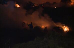 Comunidad en Bogotá se unió para enfrentar un voraz incendio forestal