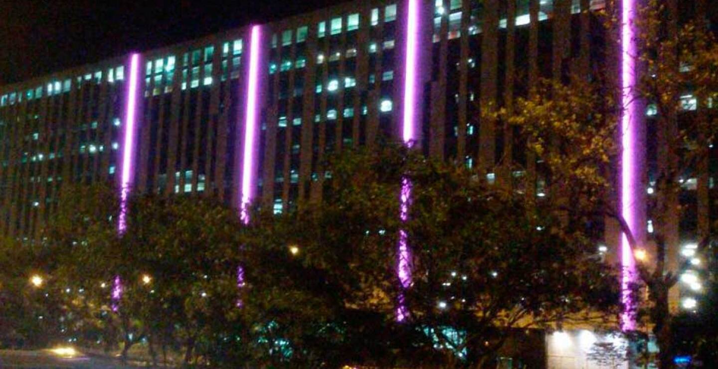 021014edificiosrosa5.jpg