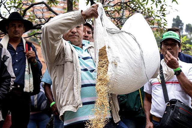 Regando granos por Bogotá, gremio de arroceros pide investigar un presunto cartel de precios
