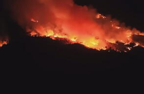 Grave incendio forestal en Sabana de Torres.jpg