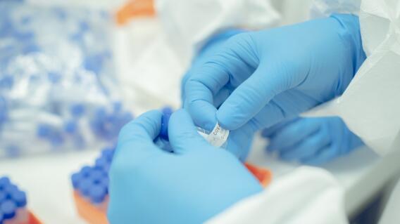 367019_coronavirus_ruta_n_8