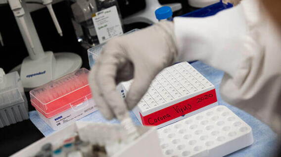 coronavirus-estudios_0.jpg