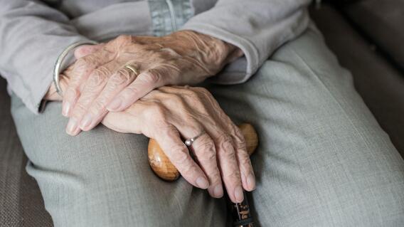 Abuelo