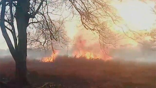 Alerta roja en Magdalena por incendios que aumentan con el viento y las altas temperaturas