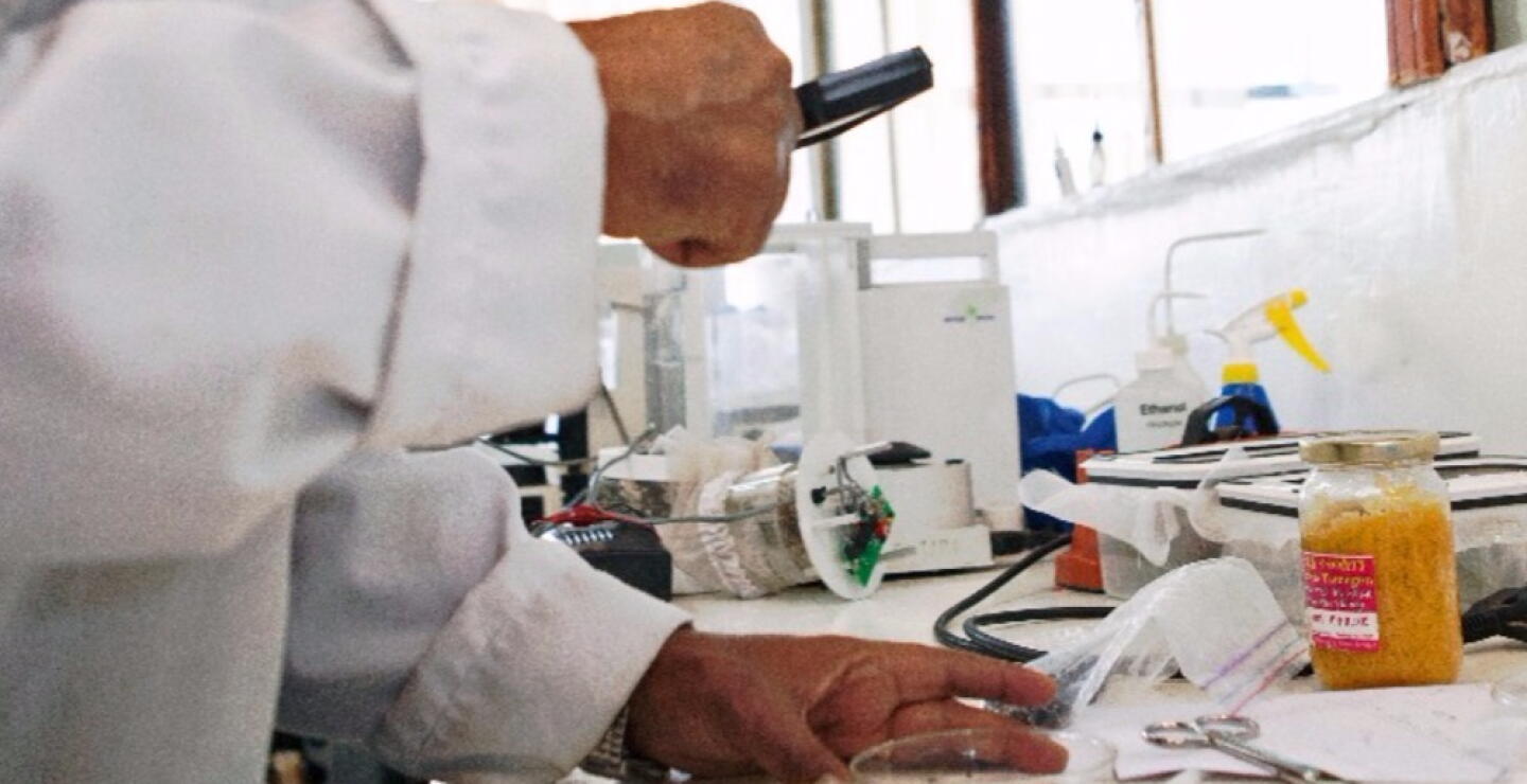 295104_malaria_referencia_-_afp.jpg