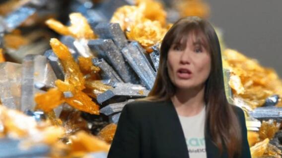 Zulma Guzmán y cómo habría conseguido el talio