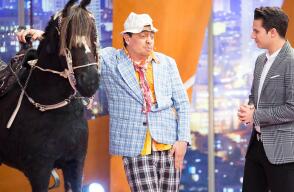 184072_pipecaballo.jpg