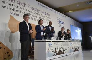 302744_Foto Cesar Carrión - SIG