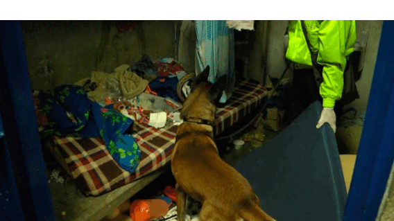 210316_registro_carceles.gif