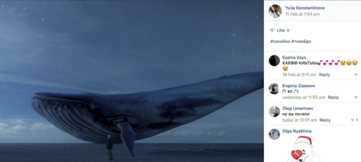 597960_ballena_azul_2.jpg