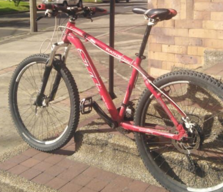 Bicicleta robo Mauricio Reyes.png