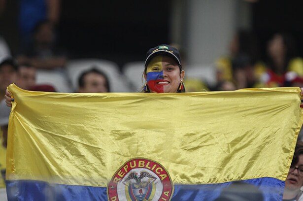 316023_hincha_colombia_280619_afpe.jpg