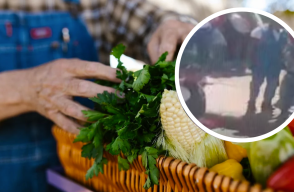 Vendedor acabó con la vida de un colega por la venta de $20.000 de cilantro 