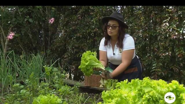 Aprenda a implementar huertas caseras en su hogar.jpg Aprenda a implementar huertas caseras en su hogar.jpg