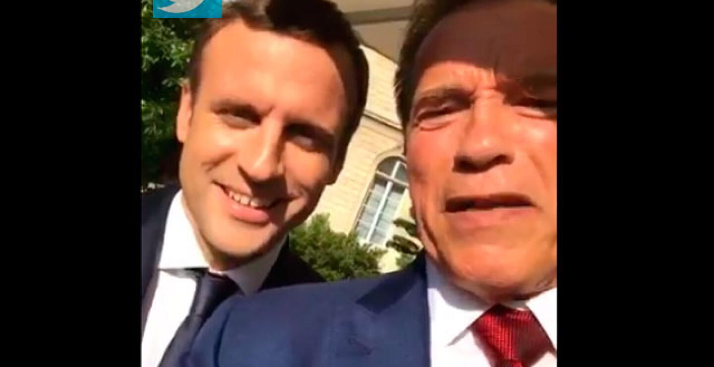macronyterminator.jpg