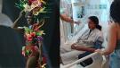 Reaparece Miss Jamaica tras grave accidente que la sacó del famoso certamen: "Lo cambió todo"