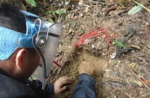 284284_Foto Brigada de Desminado Humanitario - Ejército Nacional