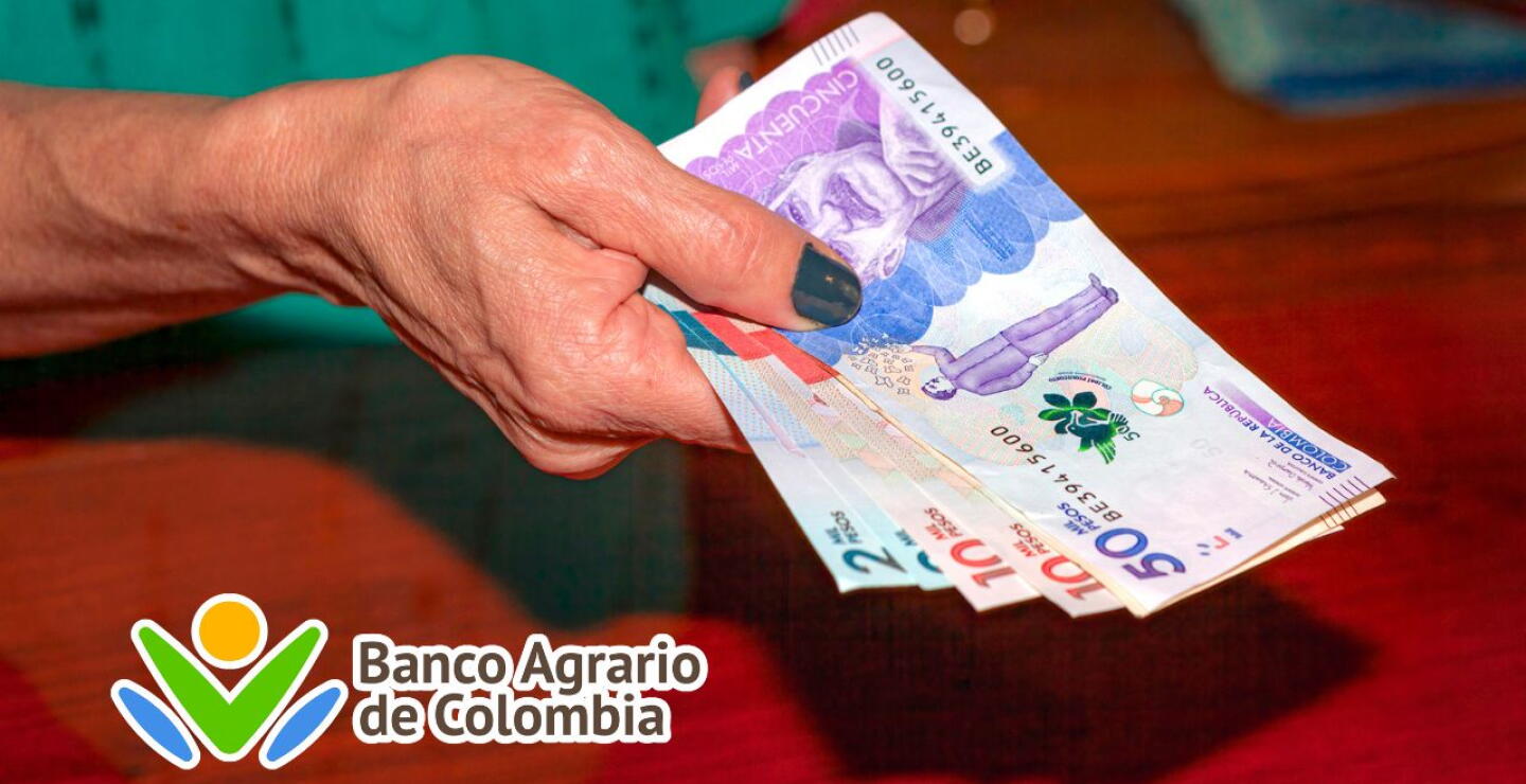 Paso a paso para recibir los pagos de Renta Ciudadana y Devolución del IVA en el Banco Agrario