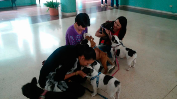 140592_Foto: @BluMedellín