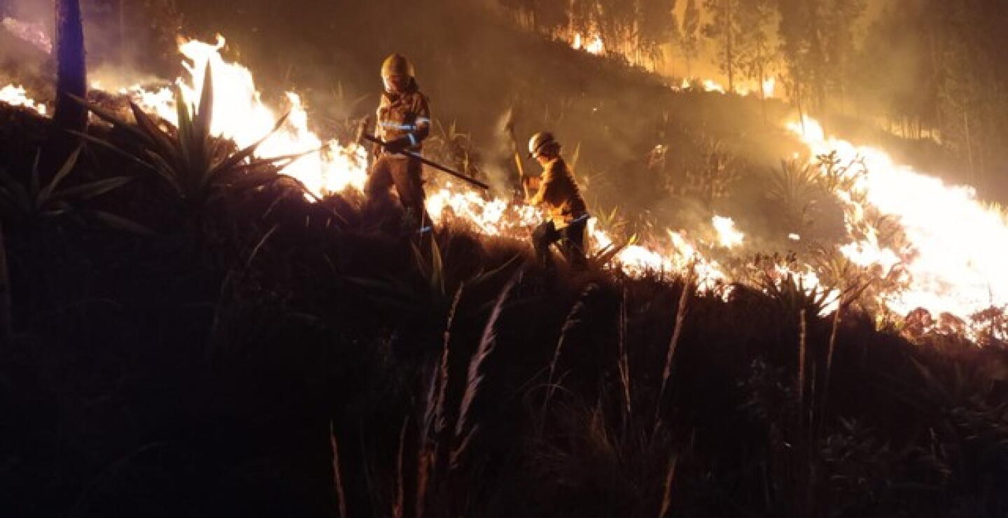 Más de mil hectáreas resultaron afectadas tras incendio en Mondoñedo 