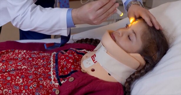 308008_elif970.jpg