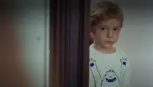 efe.png
