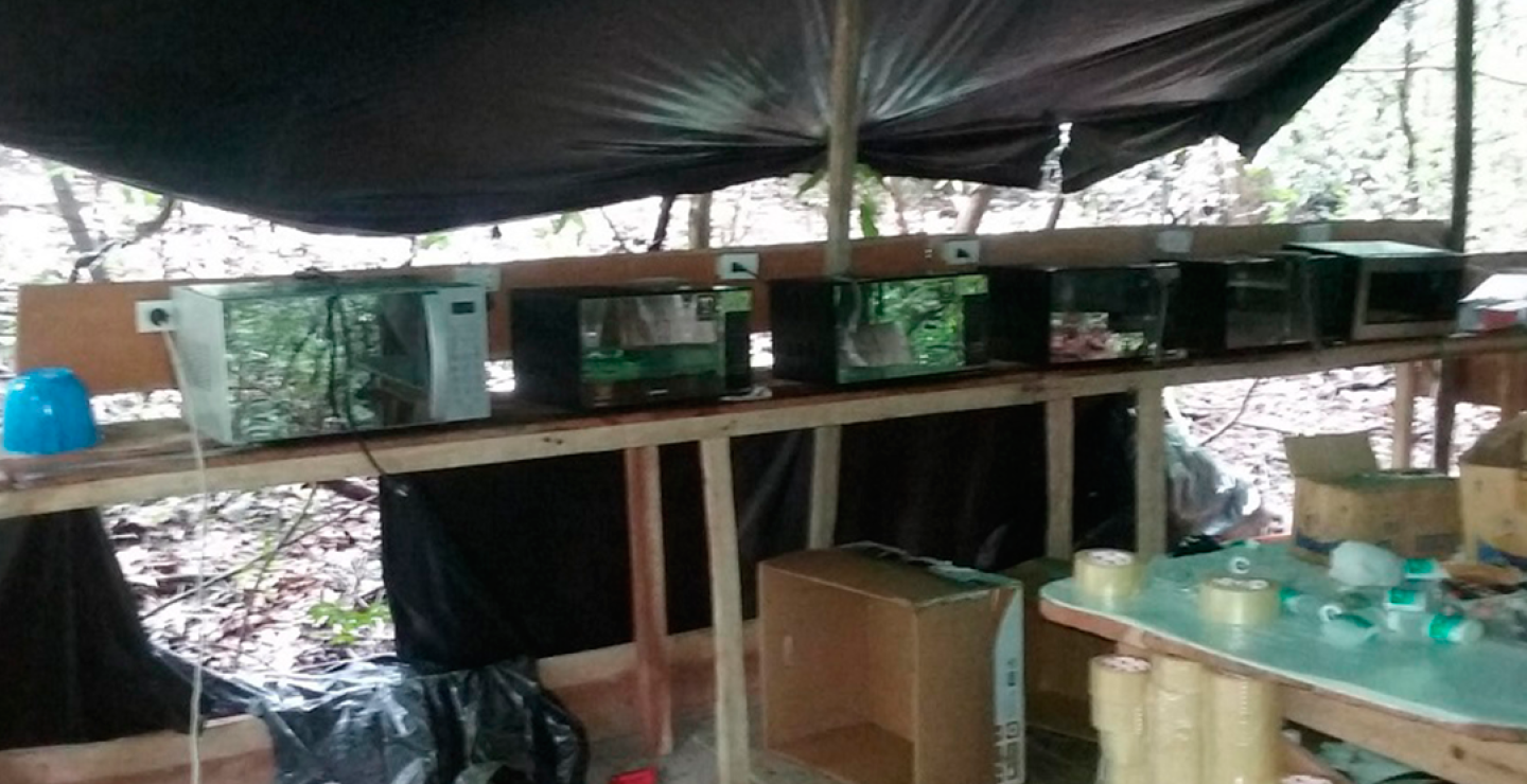 206886_Foto: Ejército Nacional