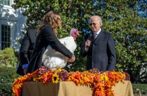 JOe Biden pavos