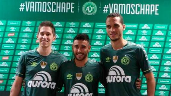 259292_chapecoensefollmannruschelneto160317olecomare.jpg 259292_chapecoensefollmannruschelneto160317olecomare.jpg
