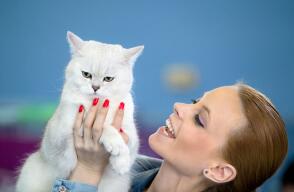gato3_0.jpg